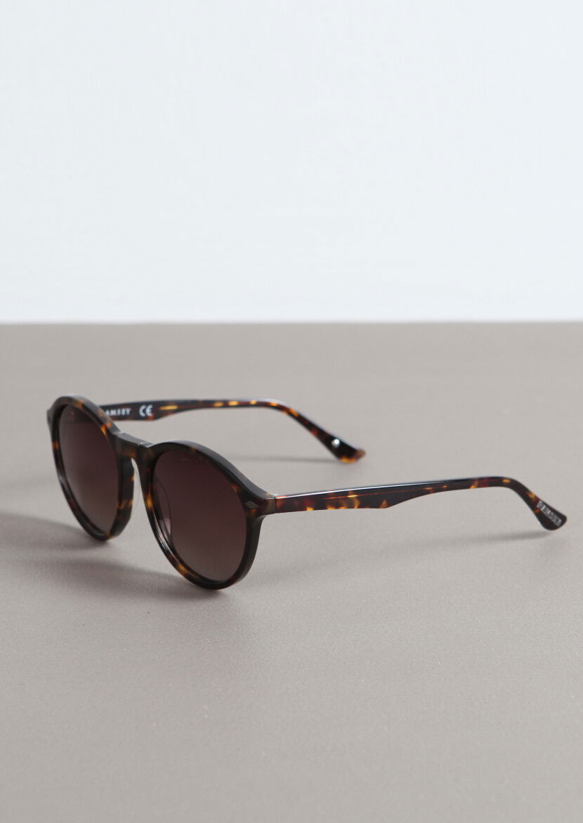 Brown Glasses 
